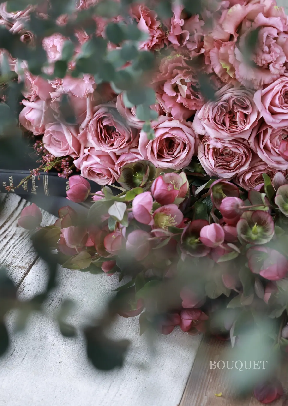 クリスマスローズ開花時期　クリスマスローズ