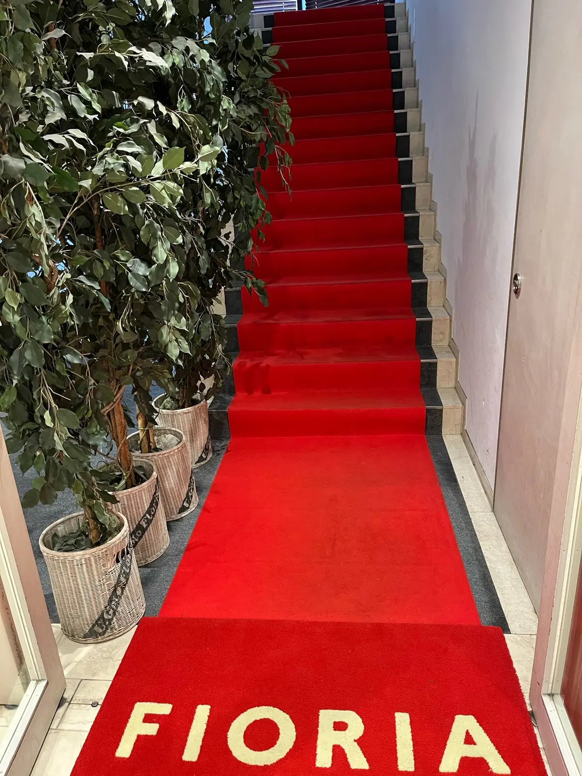 【レストラン】大切な人と夜に行きたい💙おの画像_3