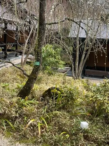 月に1度行けたらいいな…日帰り温泉の画像_3