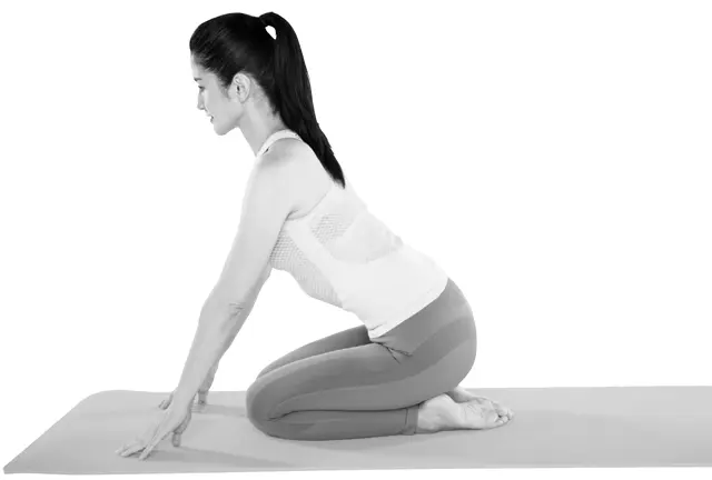 片足スフィンクス1