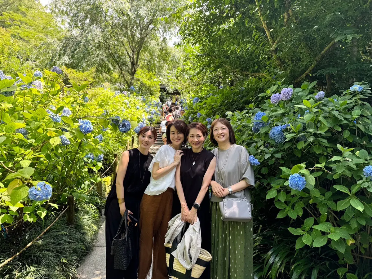 あじさいの花が咲き誇る初夏の北鎌倉明月院の画像_5