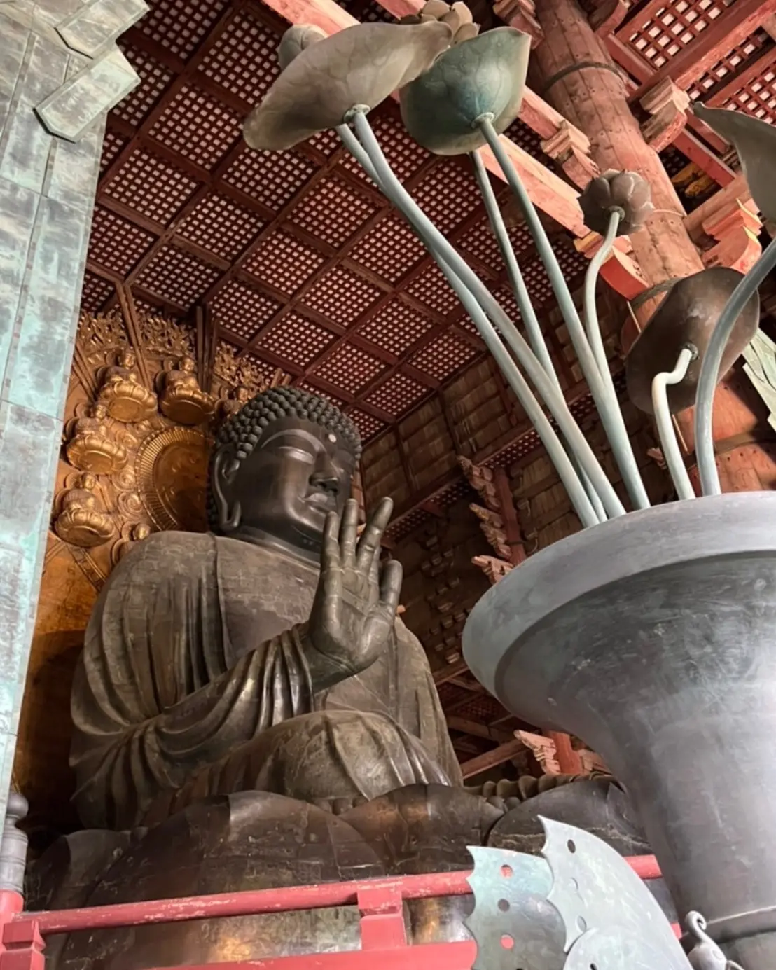 藤を訪ねて～奈良春日大社へドライブデートの画像_3