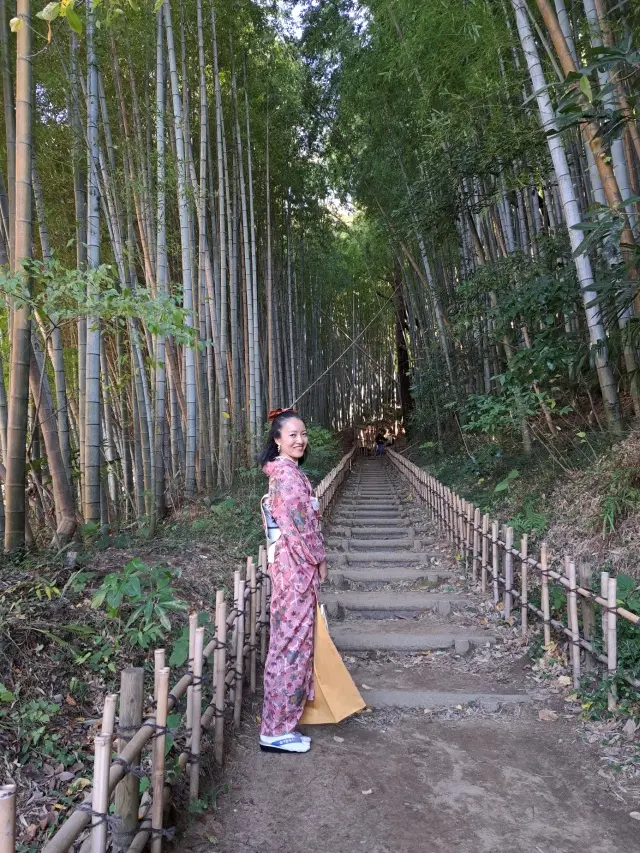 着物姿で歴史探訪の画像_10