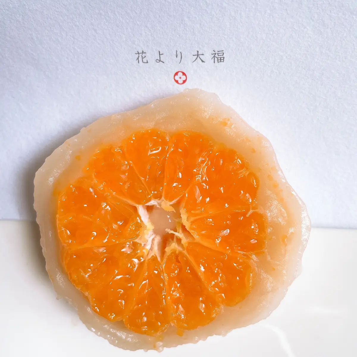 〜鎌倉散歩で出合ったもの〜の画像_3