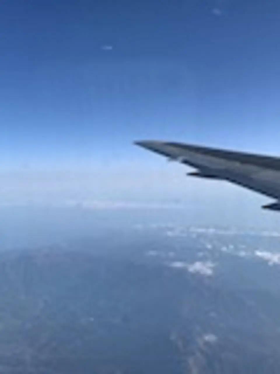 2年ぶりの東京、桜ツアー　最終日の画像_3