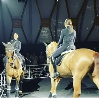 Hermès Techno Equestの画像_3