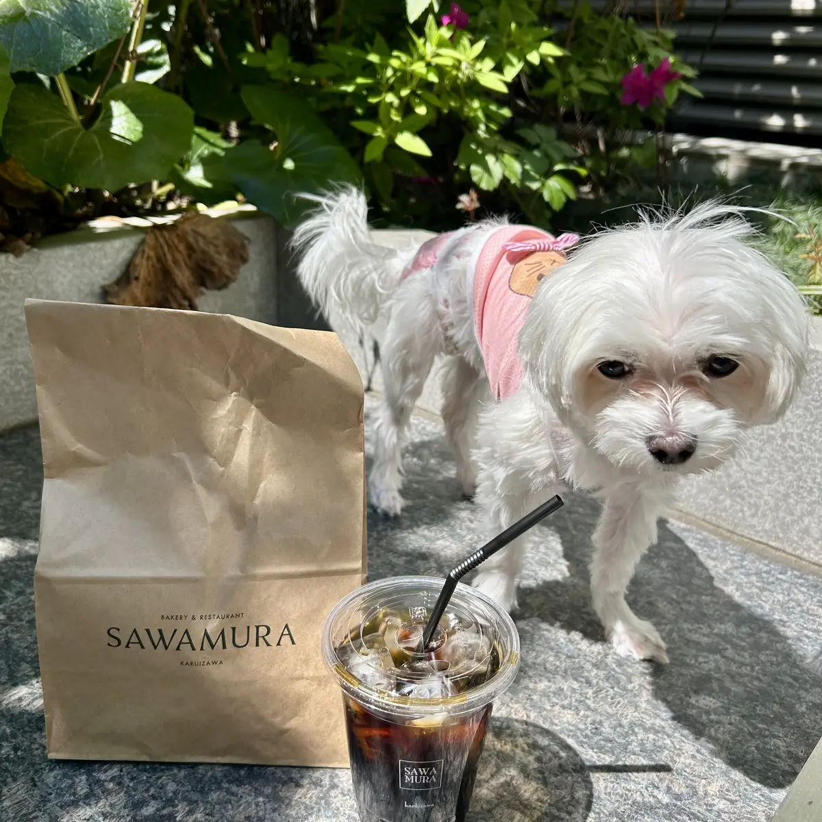 広尾SAWAMURAでモーニングの画像_1