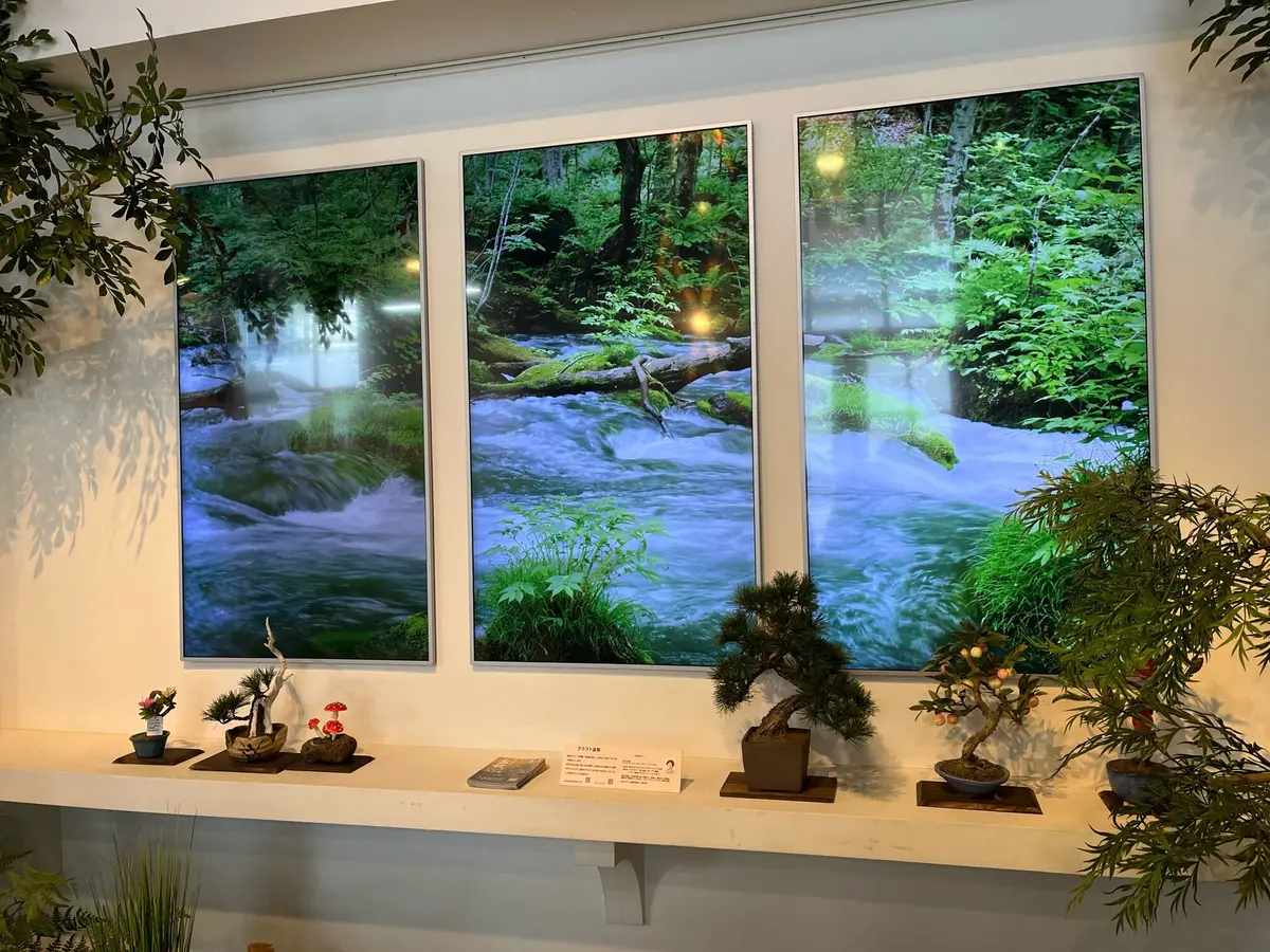 【横浜探宝】Part3. 花とインテリアの画像_7