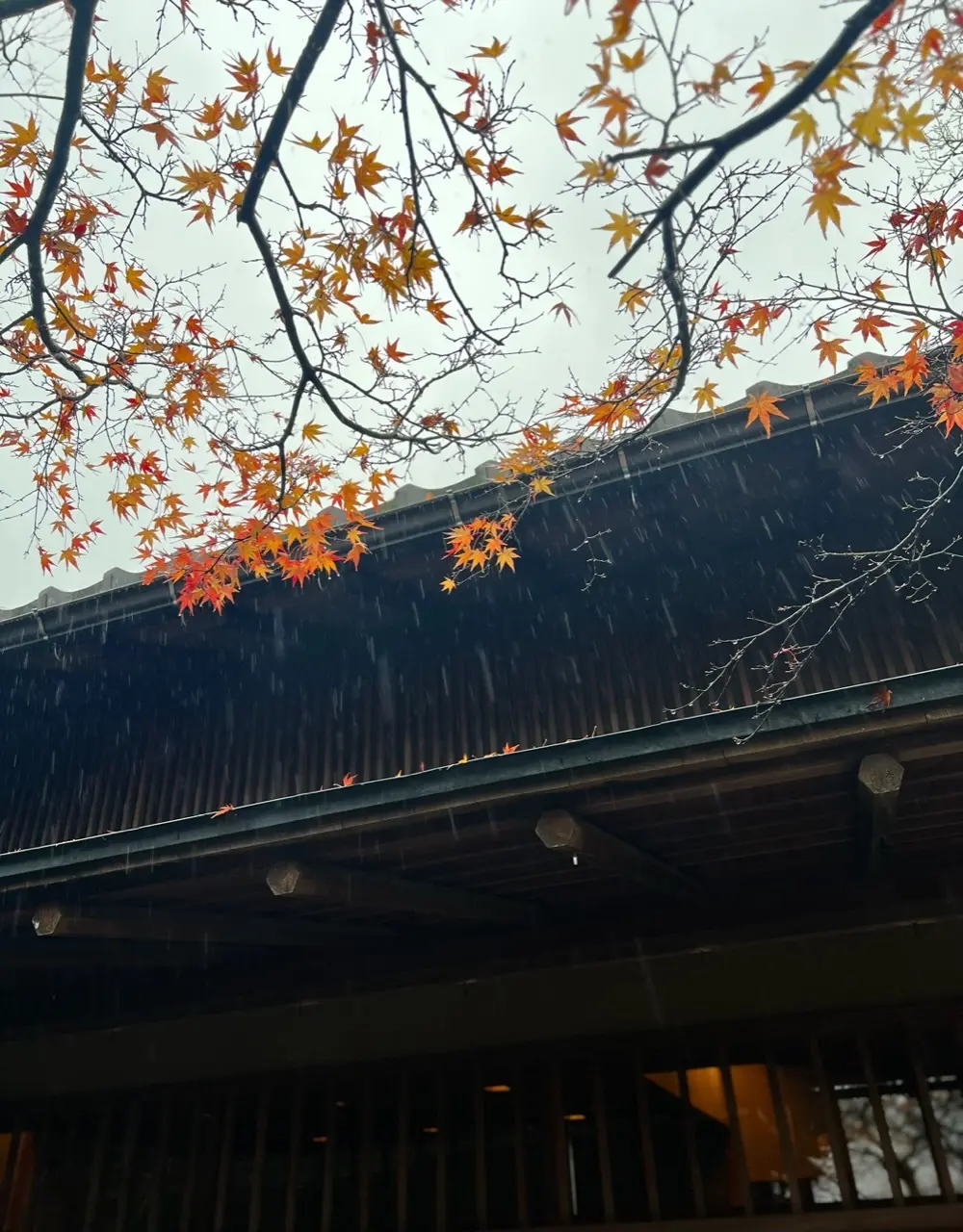 ドライブ女子旅♡雨の箱根美術館の画像_24