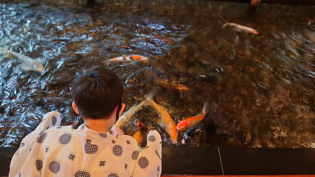 鯉に餌をやる