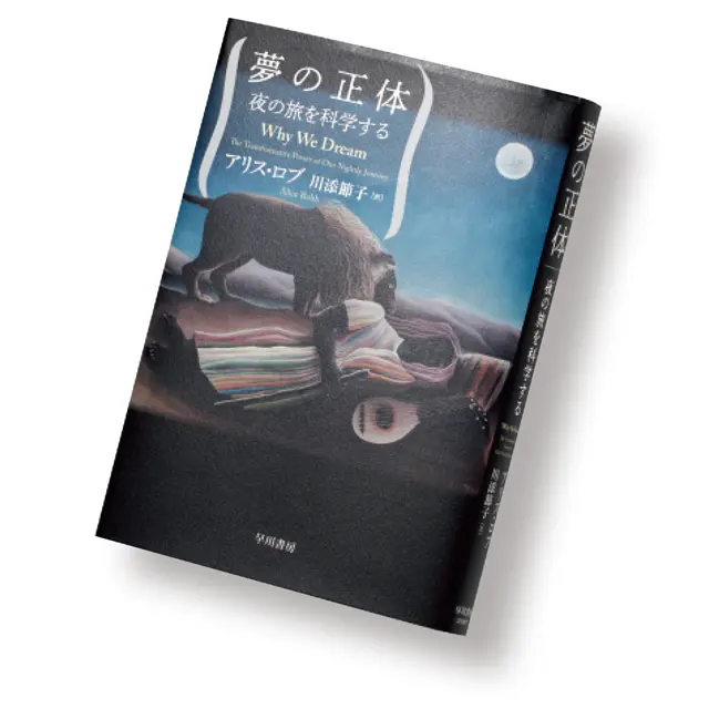 『夢の正体』 アリス・ロブ　川添節子／訳