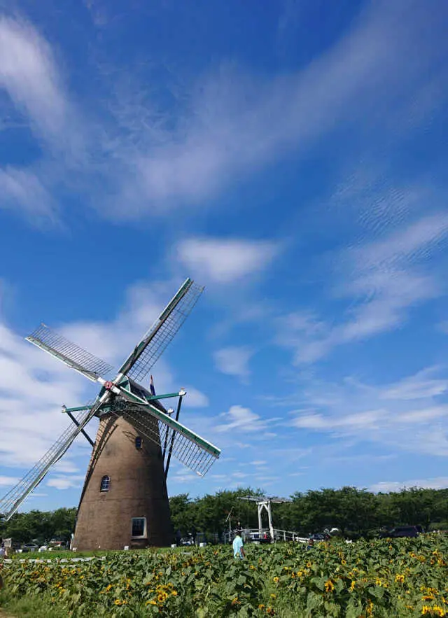 青空と風車