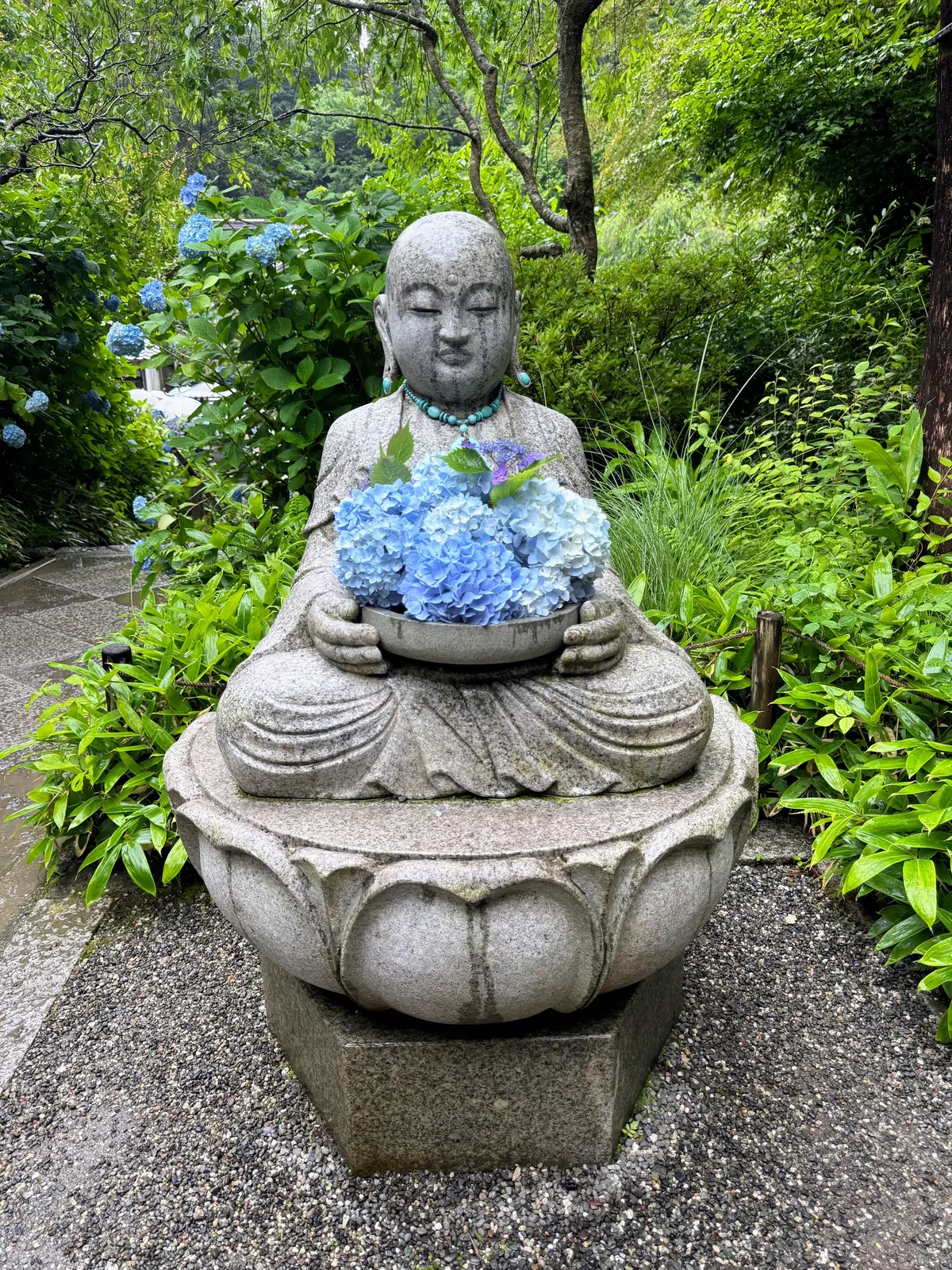 紫陽花の季節、自分で仕立てたお着物で古都の画像_9