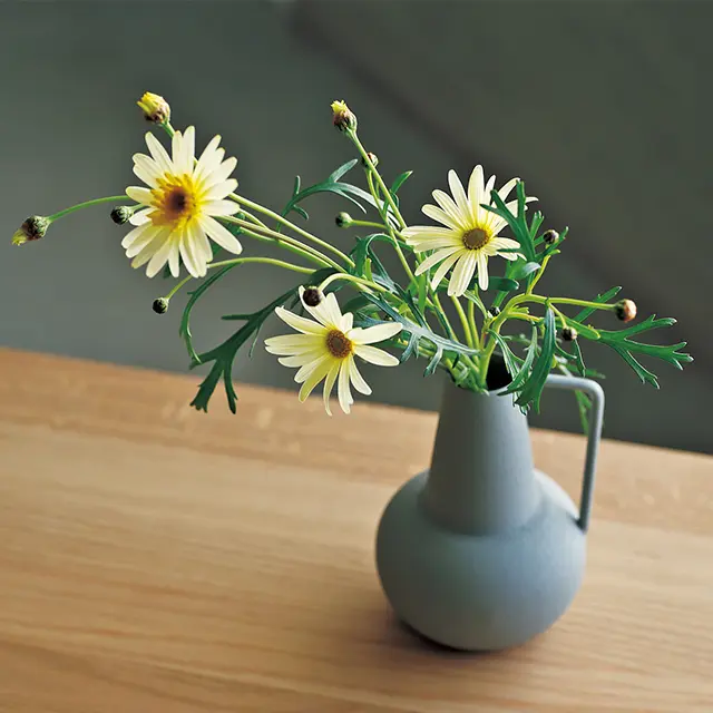 花びらも葉や茎もほっそりとしたマーガレッ トは、花色が淡いとより可憐な印象が。