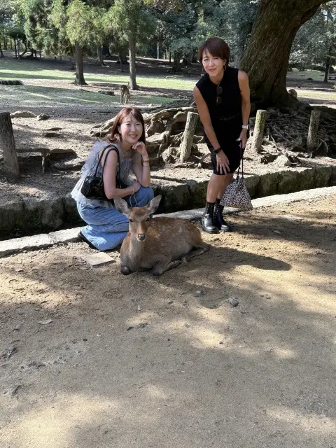 朝の光に包まれて 〜春日大社の特別拝観への画像_1