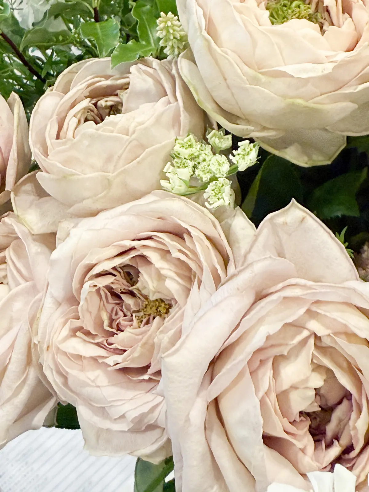 春ローズ！大人の学びと癒しのご褒美時間の画像_1