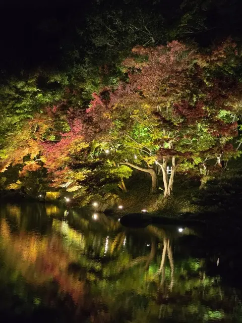栗林公園ライトアップの画像_9