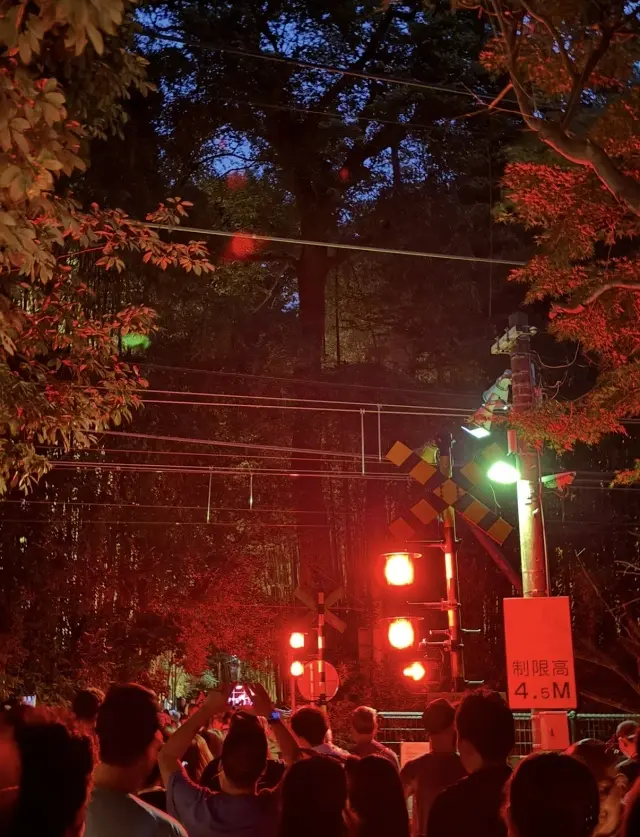 京都「嵐山月灯路」の幻想的な世界への画像_3