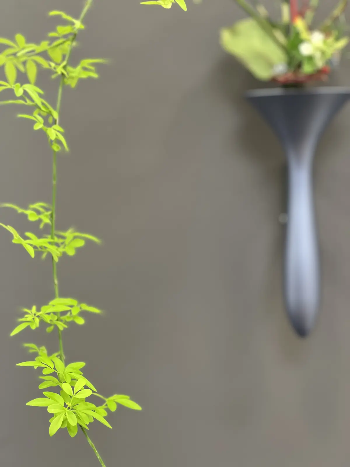 【日本橋三越】池坊 いけばな展にての画像_6