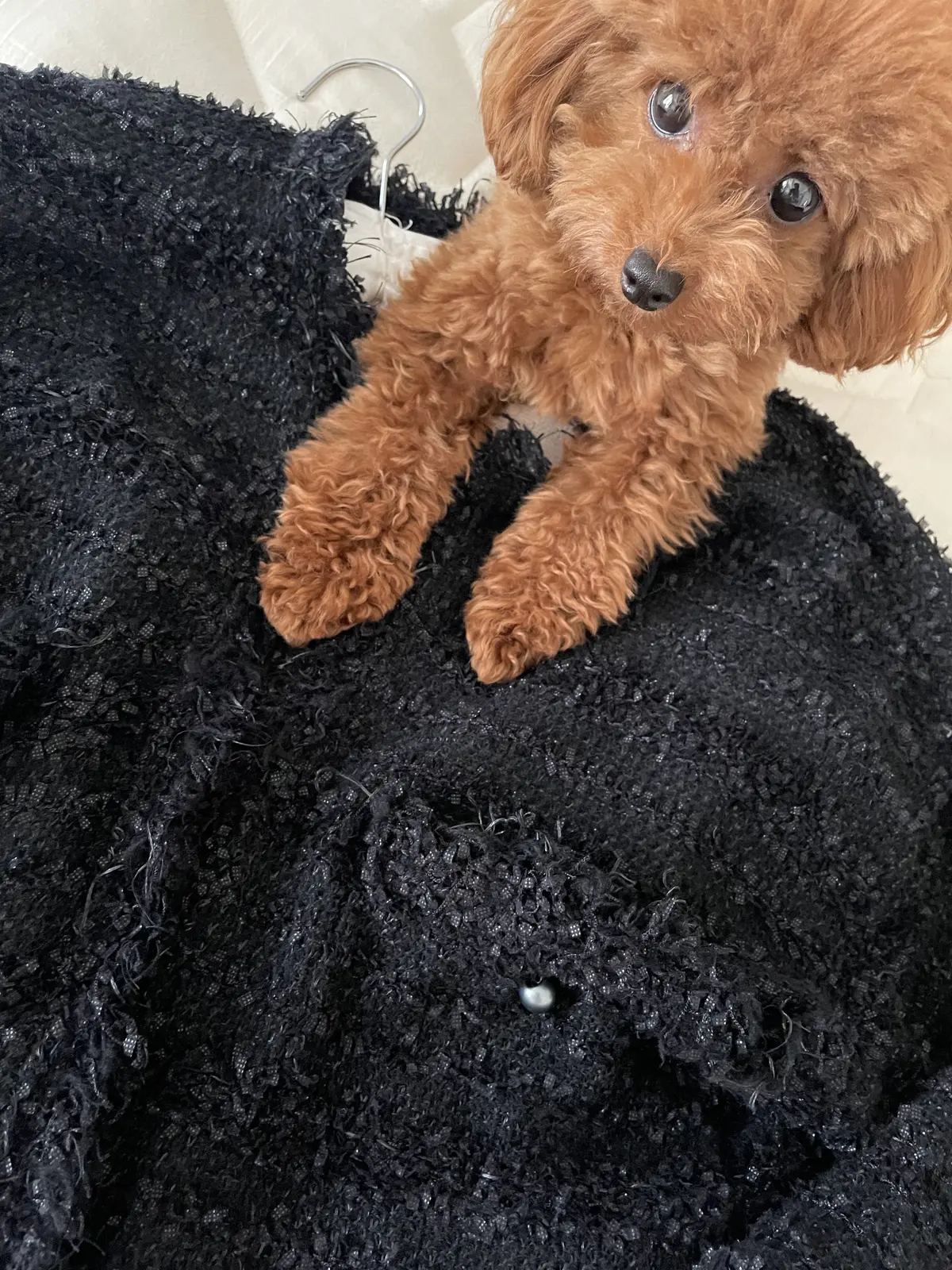 秋の白黒モノトーンコーデ4stylesの画像_7