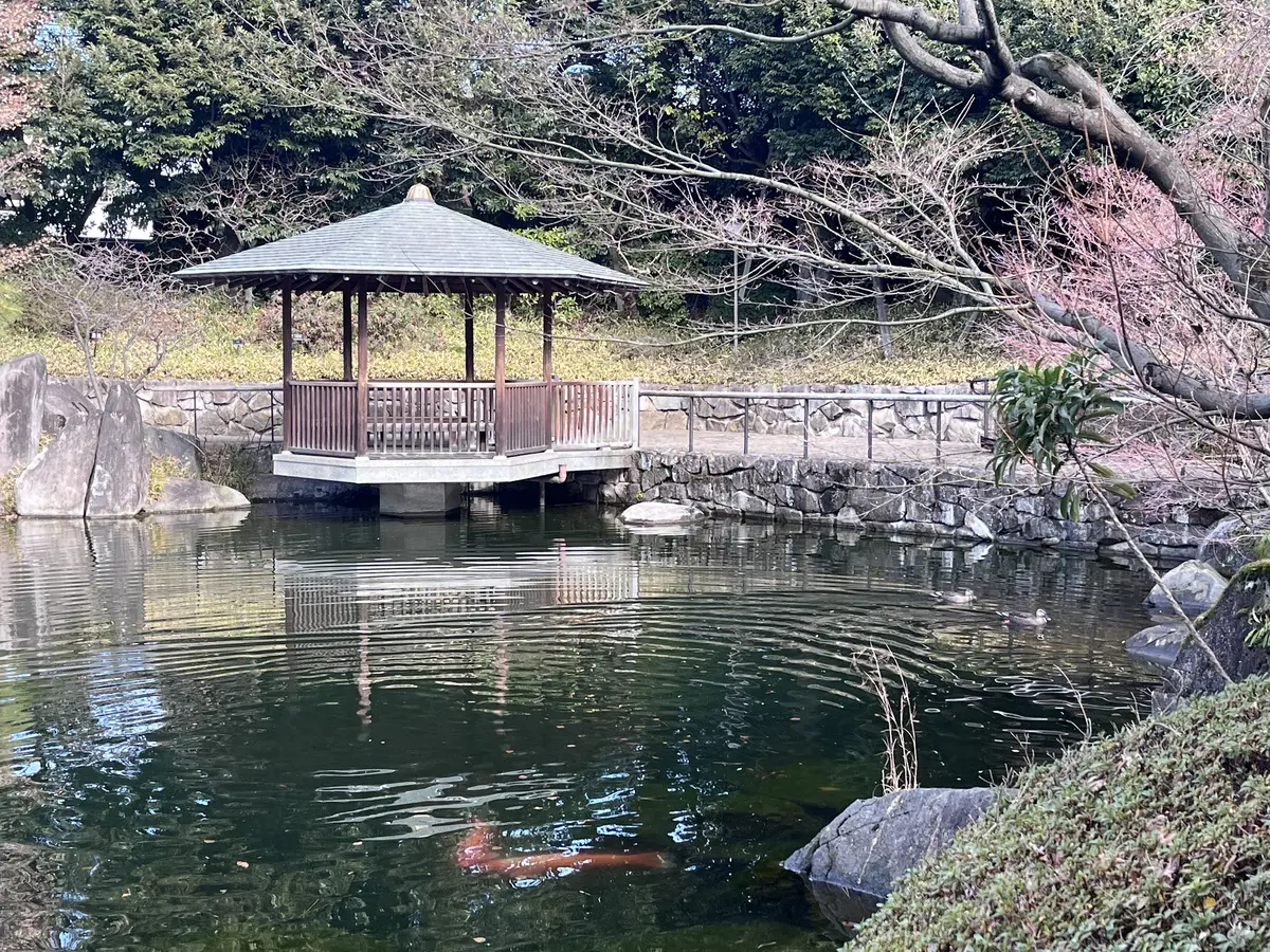 らくらくスニーカーで目白界隈1人散歩の画像_5