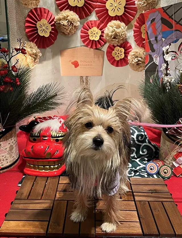 フォトスポットで撮影