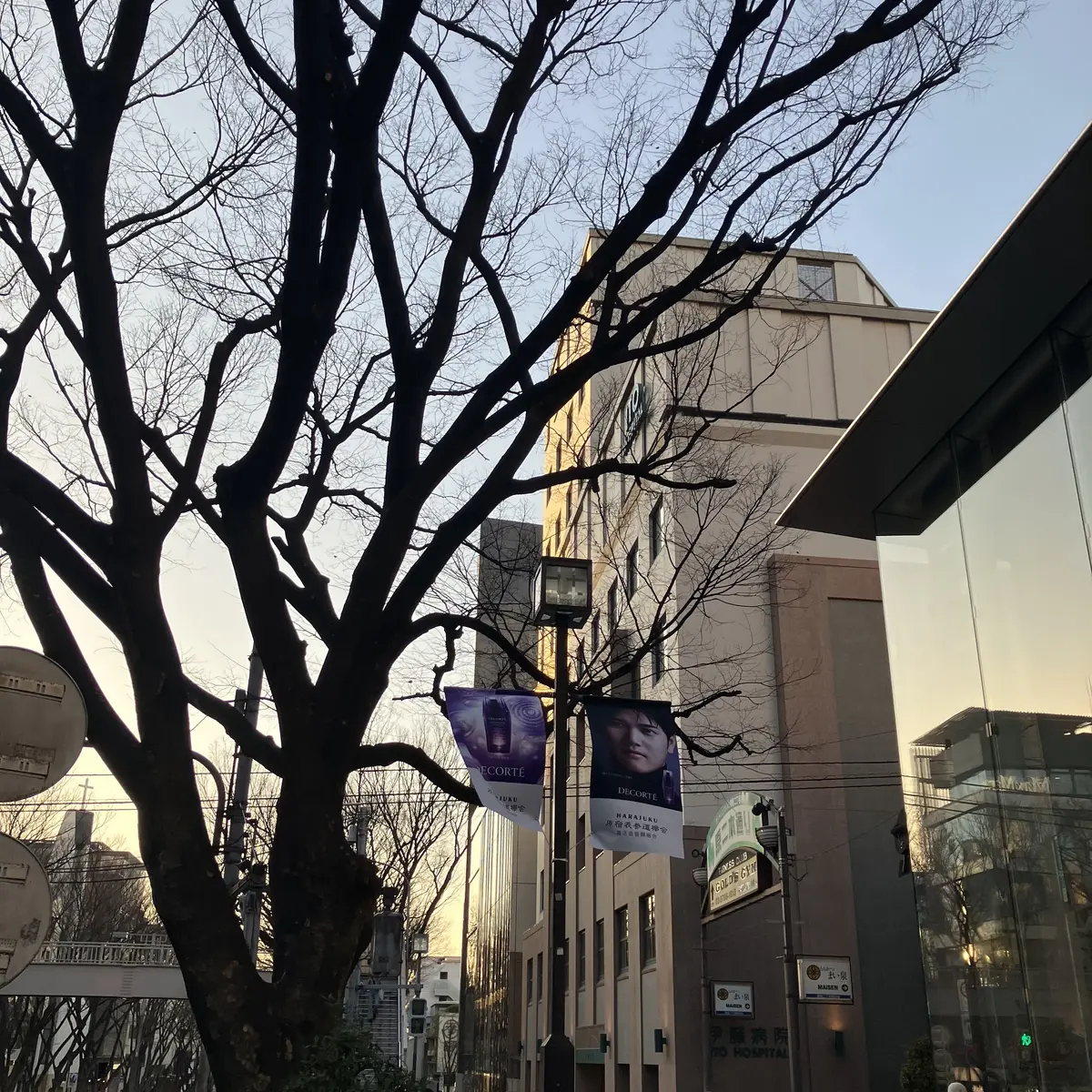 コスメデコルテ リポソーム アドバンスト セラム広告の大谷翔平選手