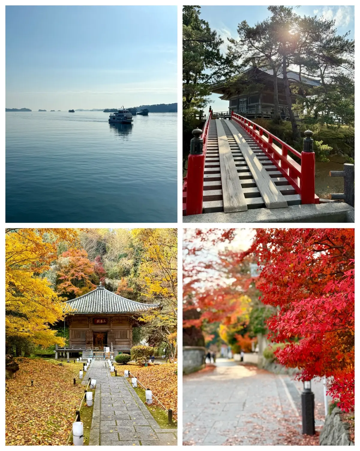 仙台松島　紅葉　五大堂　松島海岸　円通院