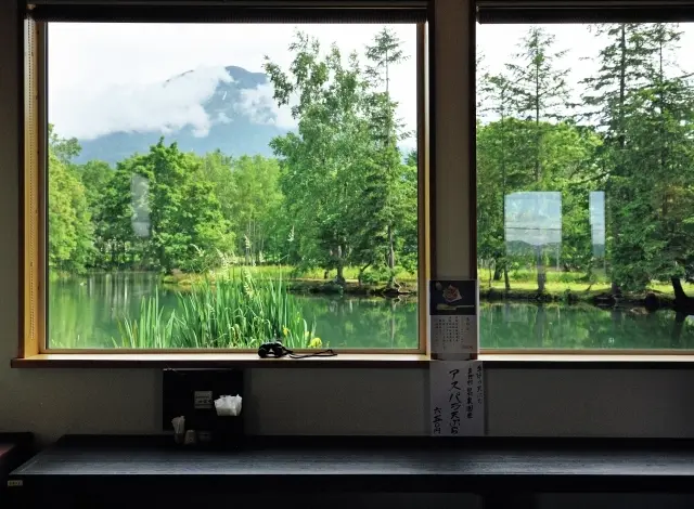 羊蹄山が見える窓ぎわに、カウンター席がずらり。