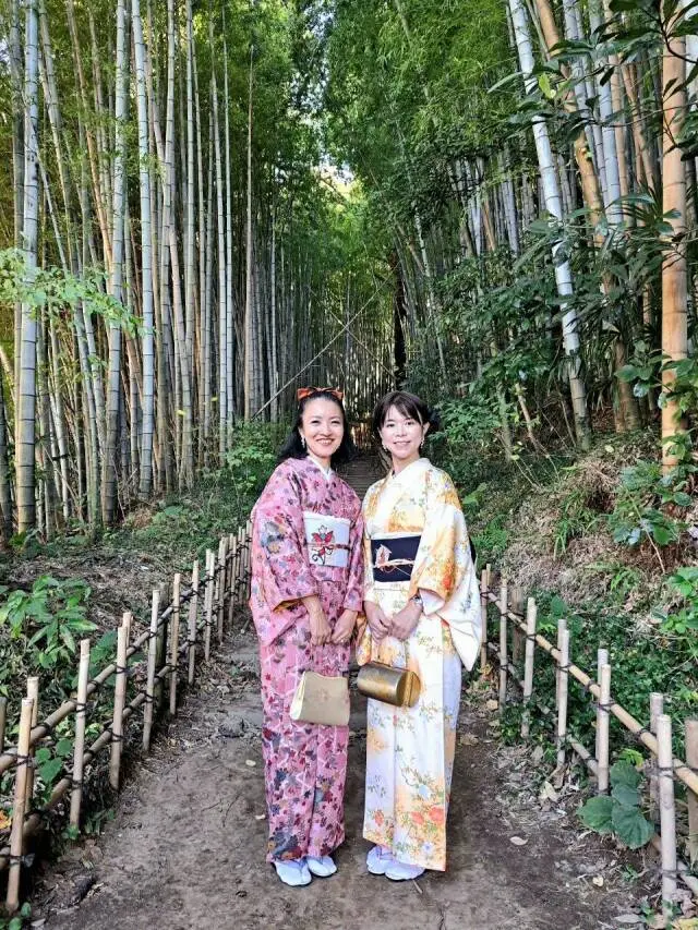 着物姿で歴史探訪の画像_1