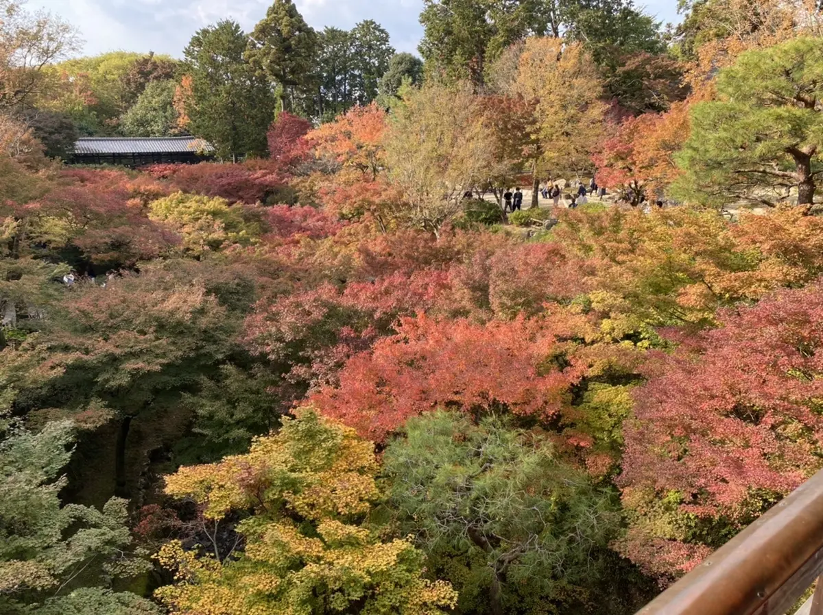 紅葉の名所、京都・東福寺の通天橋から想うの画像_6