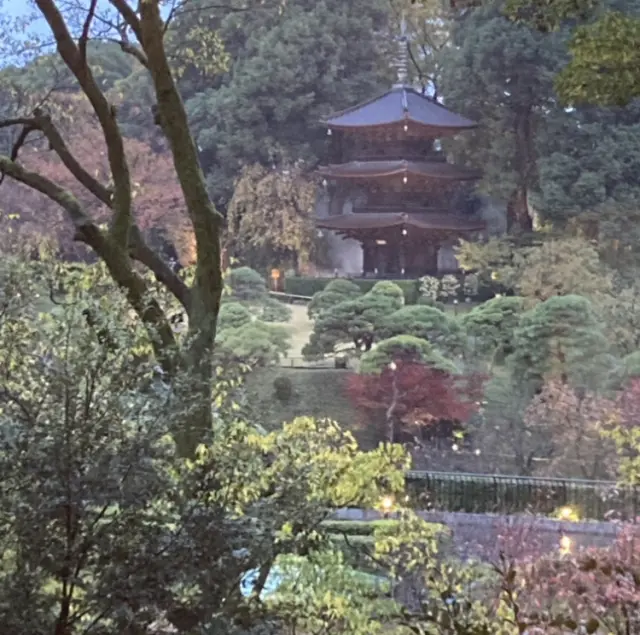 紅葉とクリスマスモードの椿山荘の画像_7