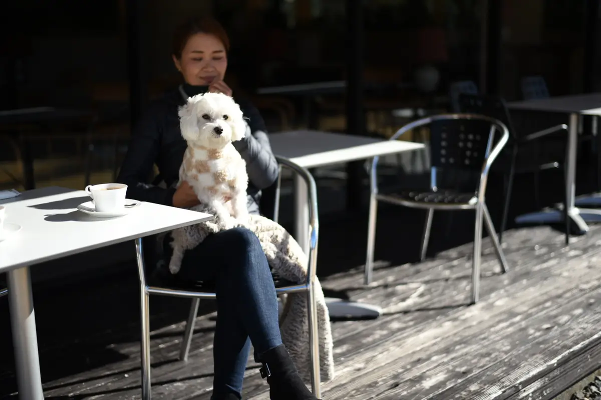 箱根ハイランドホテルラウンジテラスへの画像_3