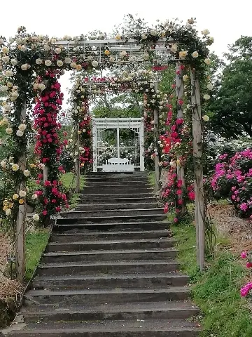 アーチに縁どられた？階段