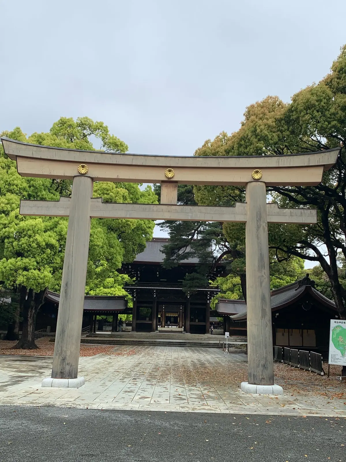 新緑の季節の画像_1