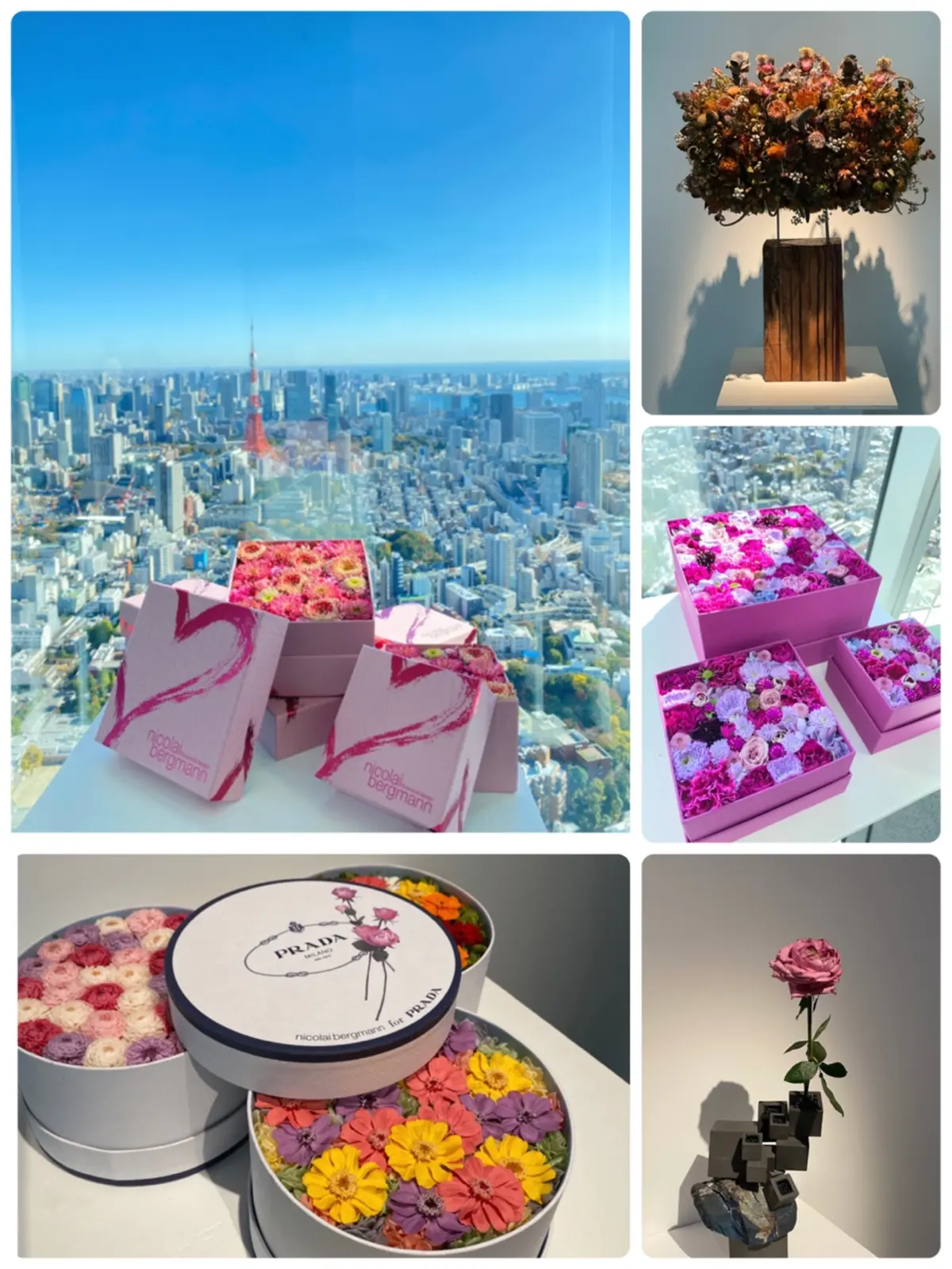 ニコライバーグマンの世界が広がる作品展への画像_3