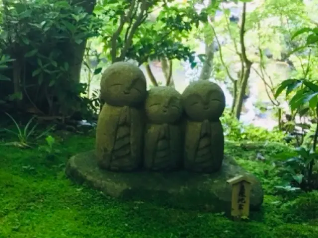 見頃を迎えた紫陽花を求めて鎌倉の2大名所の画像_17