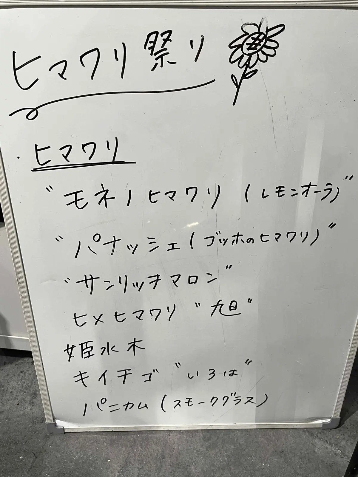 青山でヒマワリを楽しむの画像_6