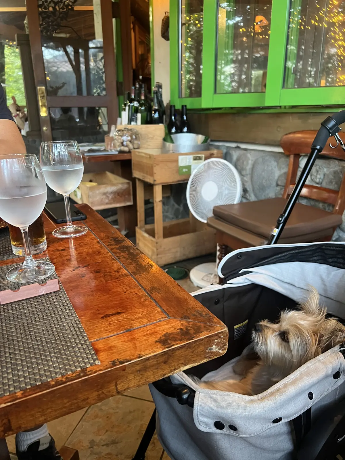 ゾーイちゃんもいい子でした！