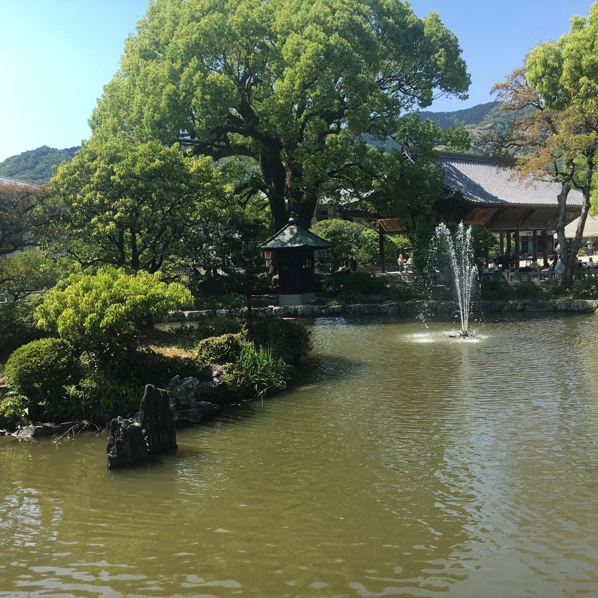 新緑が生える池のほとり