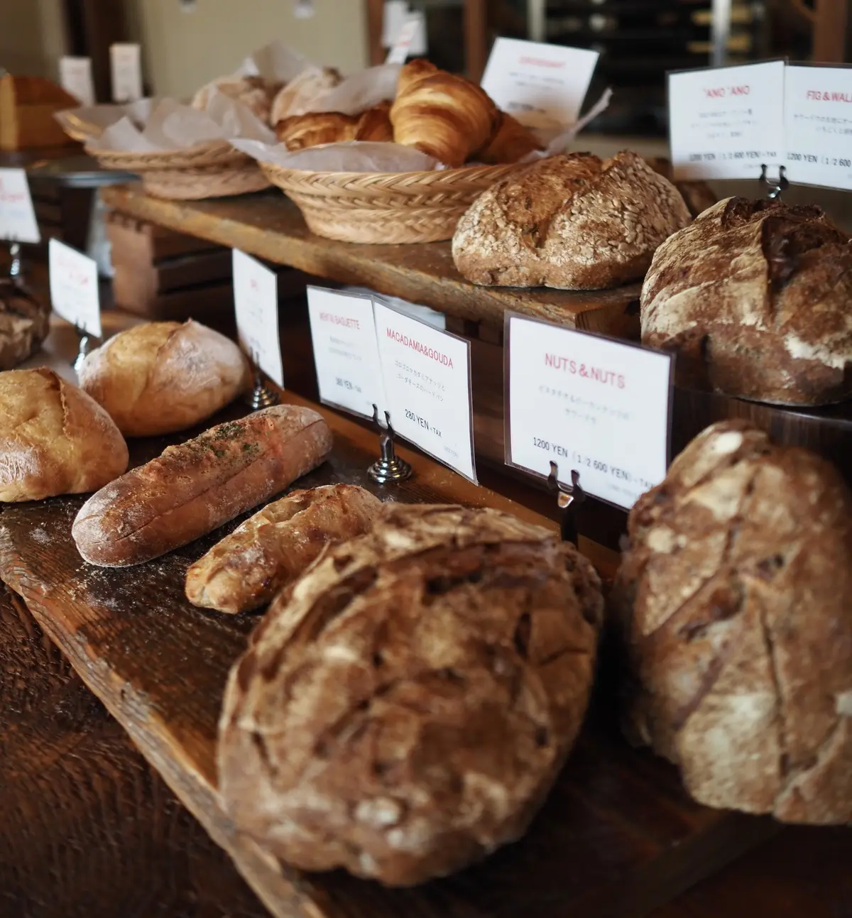 鎌倉、海の近く。桜と浜辺とパン屋さんへ朝の画像_18