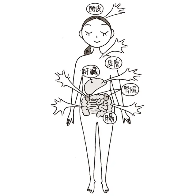 ラフィーが強化するべき「4つの排出力」