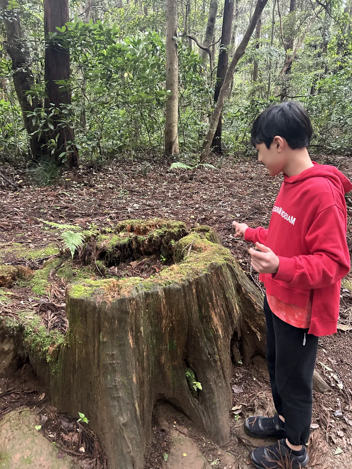 50代からの新しい旅　東京から日帰りで名の画像_15