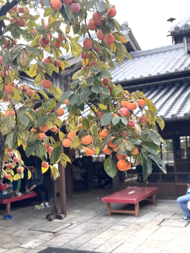 【お伊勢参り】やっと手にしたとっておきのの画像_10