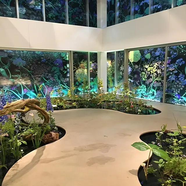 LIGHT OF FLOWERS ハナのの画像_1