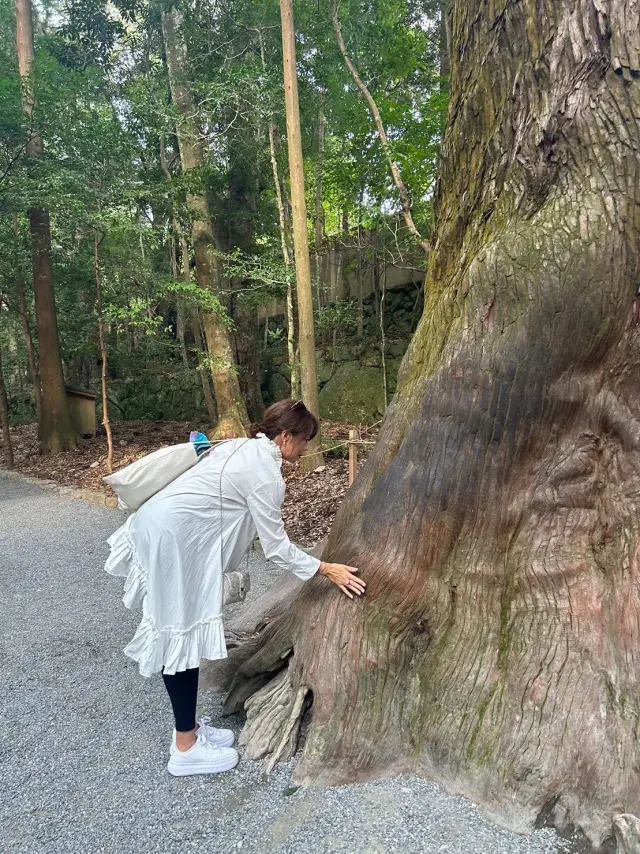 女友達と伊勢の旅へ。の画像_7