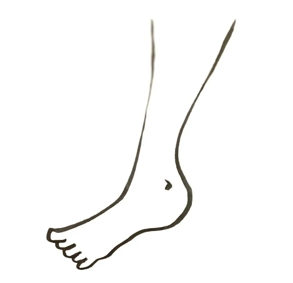 OurAge×Webエクラ　足首　イラスト