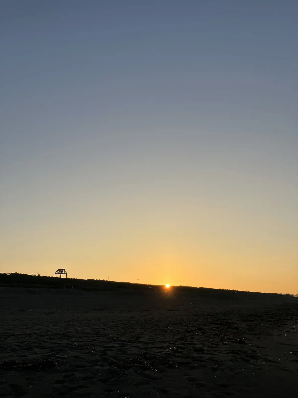 朝活スタートしました♪の画像_6