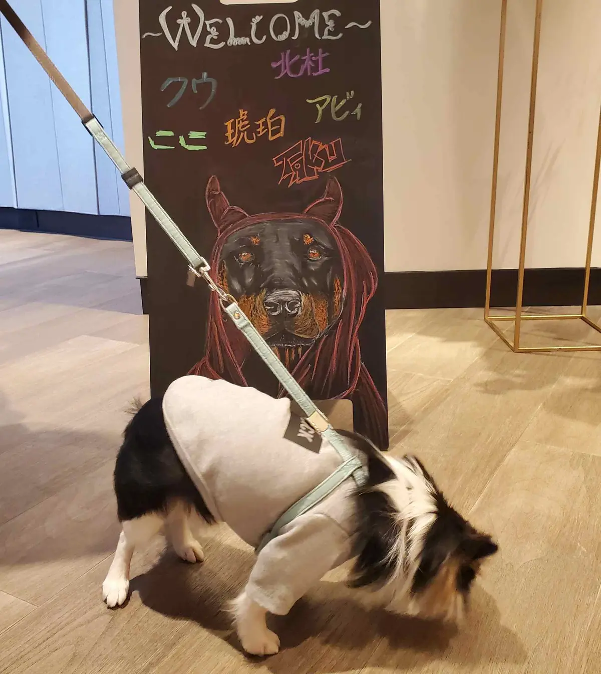 WELCOMEボードに“クゥ”