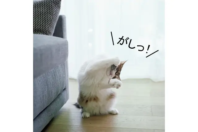 じーっと全集中、そして一瞬のうちにキャッチ！ 